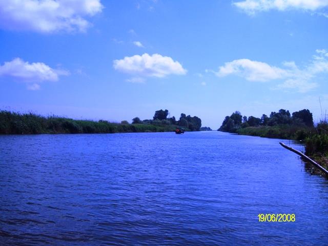 delta rosu 2008 - sany0601.JPG